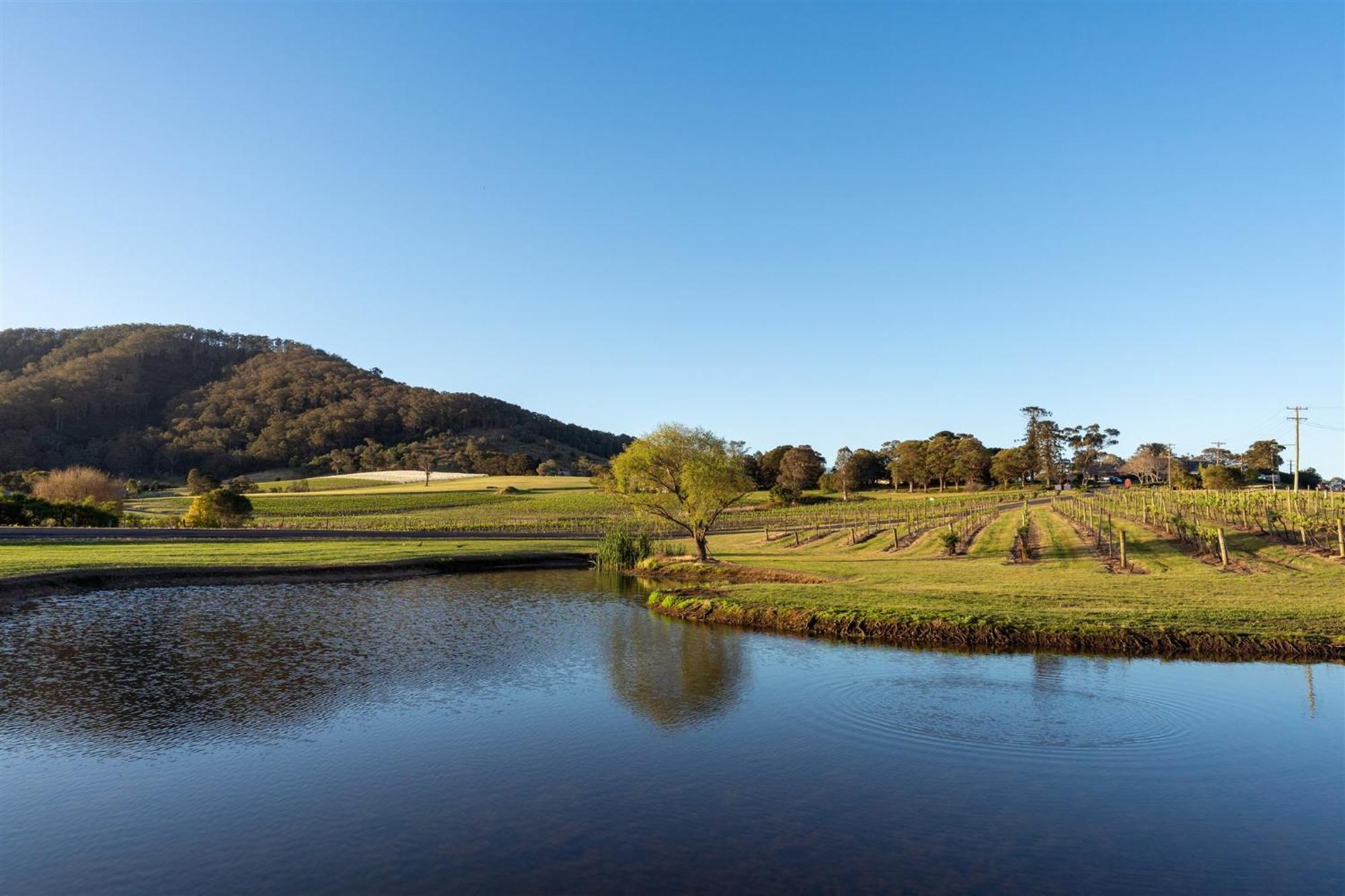 Coolangatta Estate Shoalhaven Heads Exterior foto