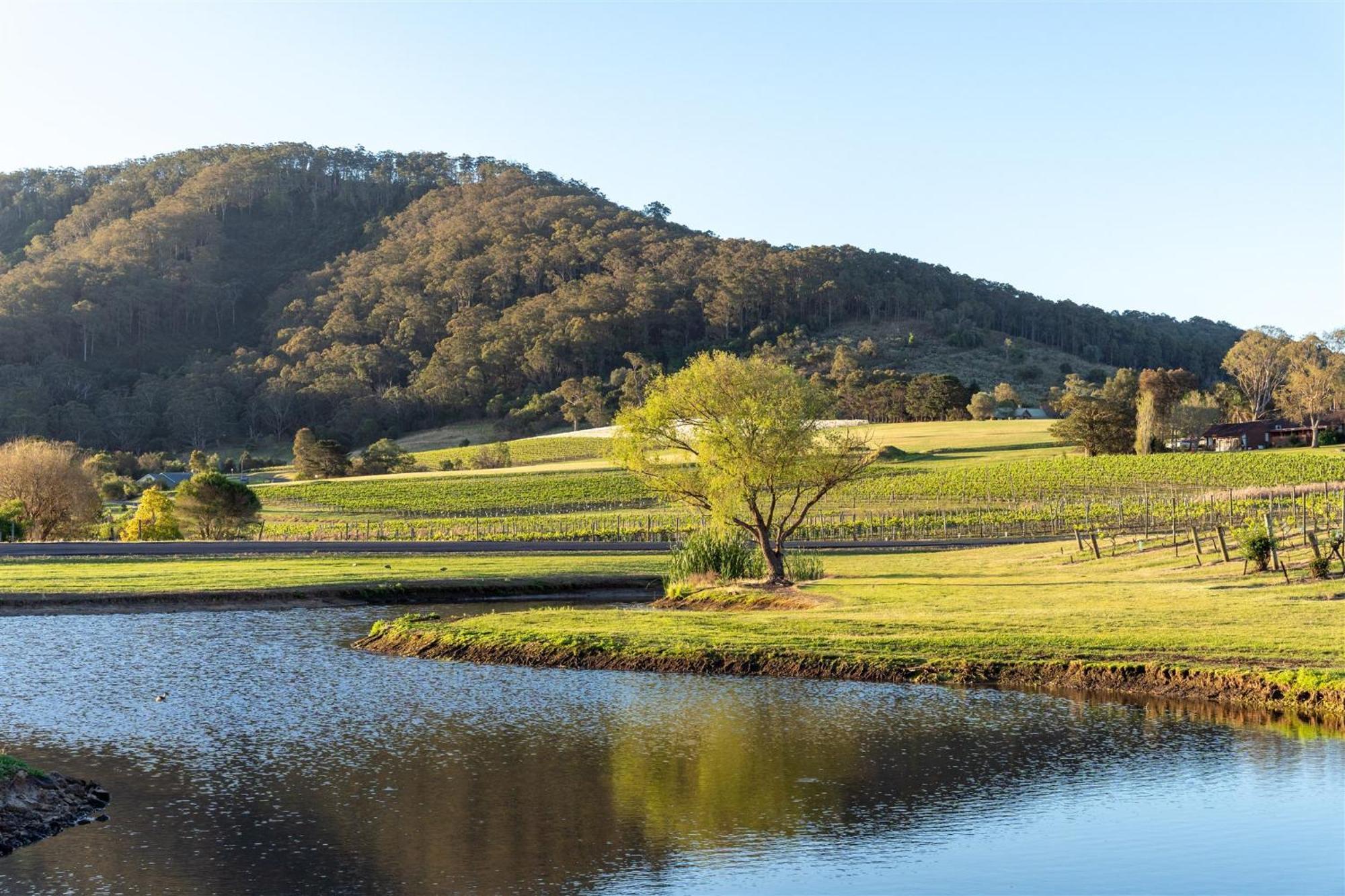 Coolangatta Estate Shoalhaven Heads Exterior foto