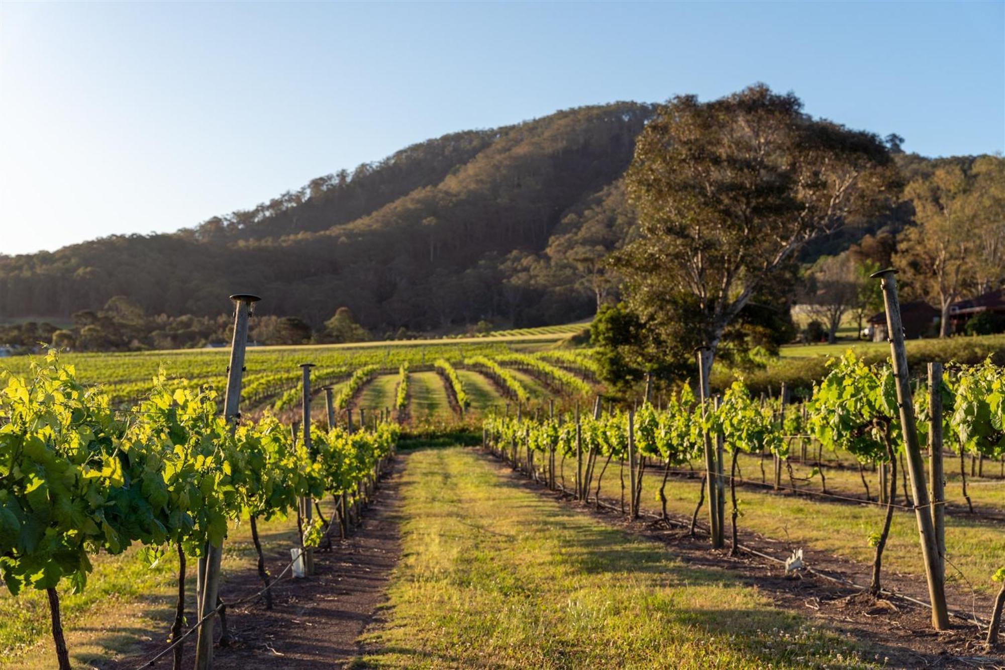 Coolangatta Estate Shoalhaven Heads Exterior foto