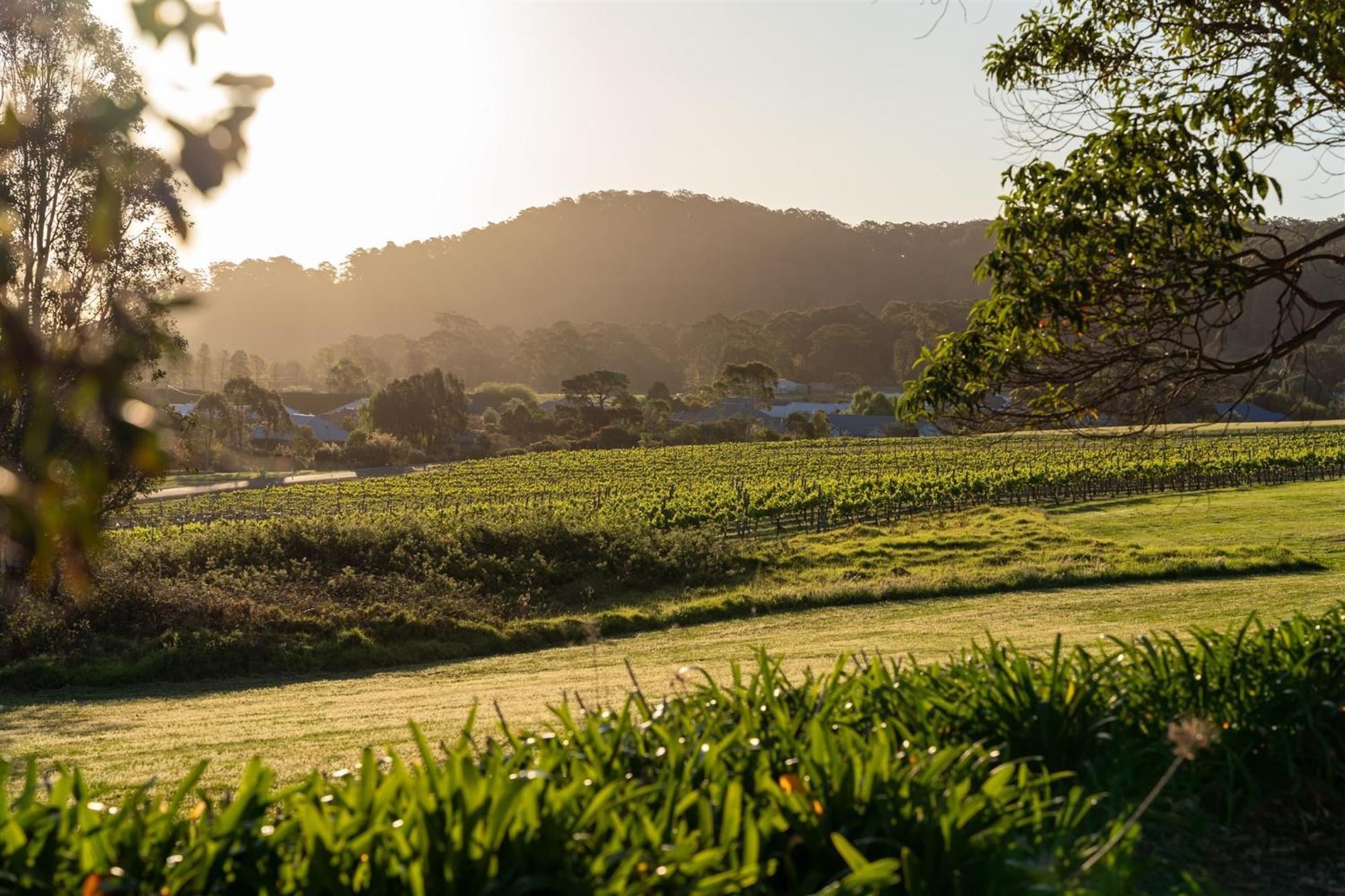 Coolangatta Estate Shoalhaven Heads Exterior foto