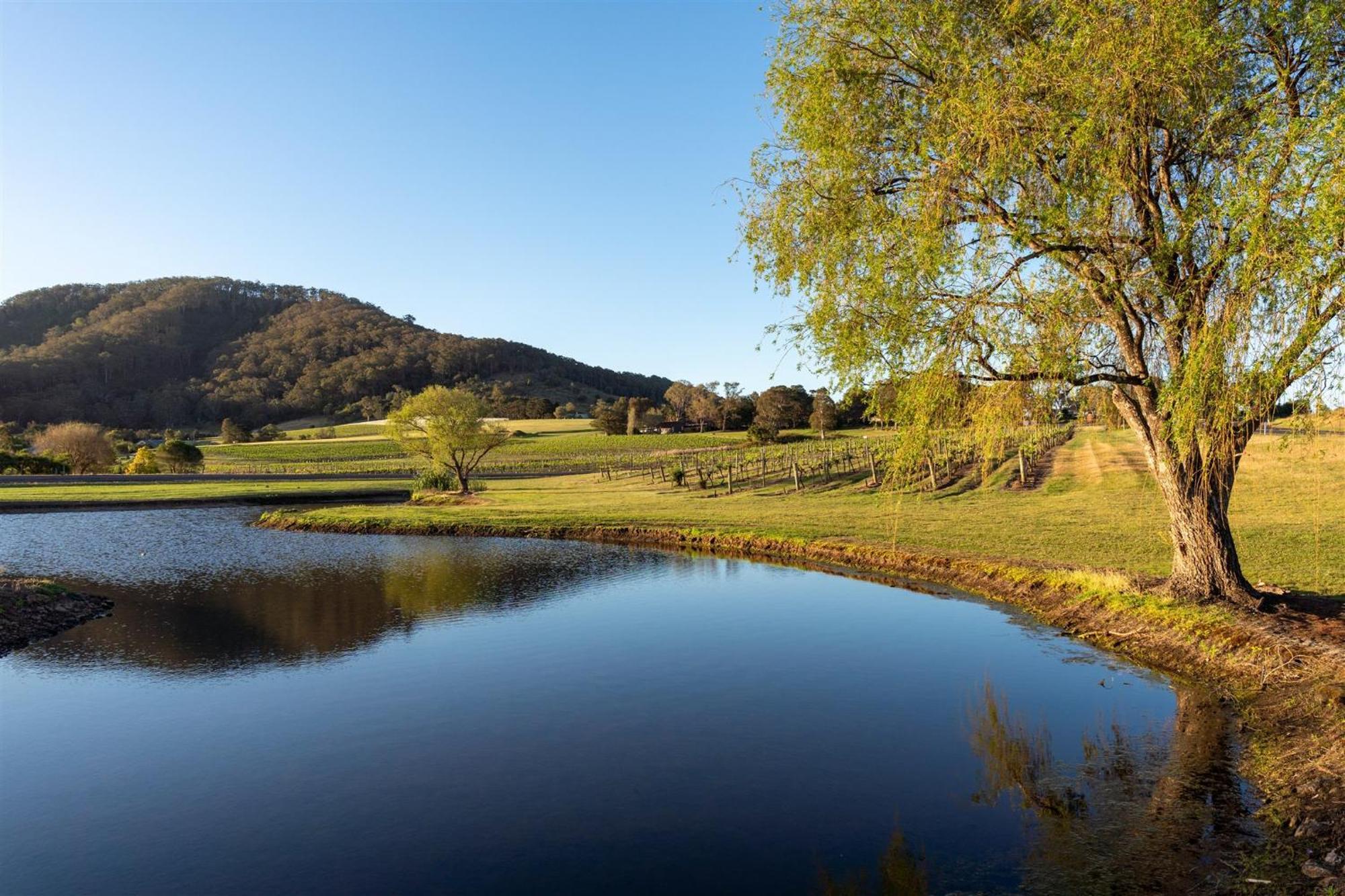 Coolangatta Estate Shoalhaven Heads Exterior foto